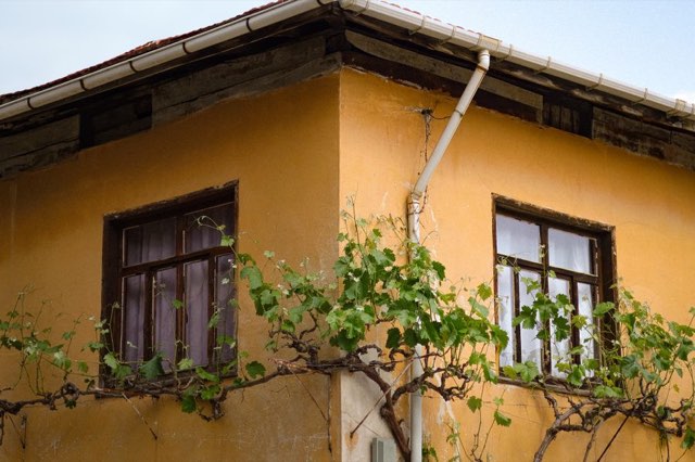 Downpipe & gulley